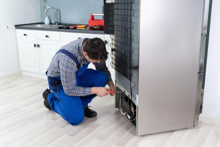Refrigerator maintenance Service